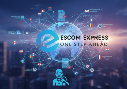 Whisk_98cfa6416875725a36c4569d3a658b5edr