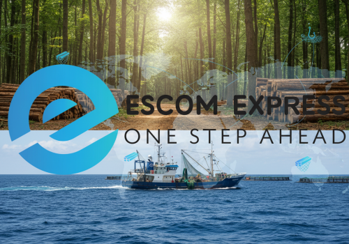 Whisk_f67257b94b149479331464f746d32c81dr