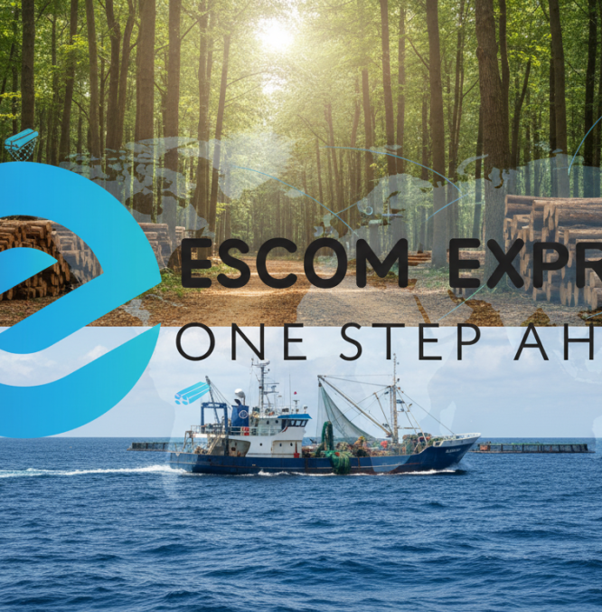 Whisk_f67257b94b149479331464f746d32c81dr